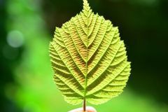 下周开始天赐洪福，好运加身，事业蒸蒸日上，添财添喜的3大生肖