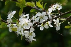 从下周开始福气满满，财运加身，喜事不断，贵人指点的3大生肖