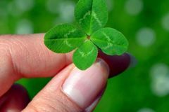 这3大生肖福泽深厚，年底收获满满，财神爷格外关照，财源滚滚来