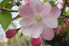 11月下旬开始运势节节高涨，好运难挡，事业突飞猛进的3大生肖