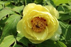 11月底财运旺盛，运势爆棚，添财添喜，轻松赚大钱享富贵的生肖