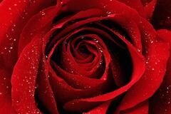 这3大生肖财运势不可挡，未来30天事业高升，闷声赚钱，福气多