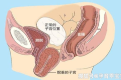 产后女性生殖系统恢复时间，关乎身体健康，早了解！