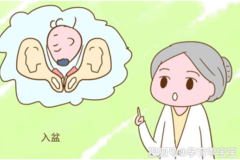 关于胎儿入盆，你了解多少？