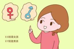 生男生女是女人的问题，事实真的是如此吗？