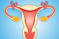 女性结扎复通术后，怀孕概率有多大？想要二胎的夫妻，不妨一看