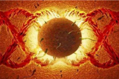 受精卵着床需要几天？一般达到这个数，才能进入子宫