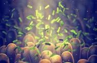 研究：微菌群组分布特征可快速诊断疾病