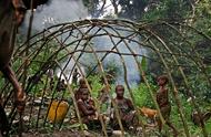 非洲的矮人部落，平均身高不超过1米4，8、9岁生理机能就已成熟