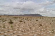 不可思议的科学魔术沙漠变绿洲，这一最新技术遭到不同科学家质疑