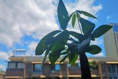 “小姑子生二胎，我和丈夫去探望，走出厕所，我们的婚姻结束了”