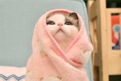 请不要“杀伤性叫醒”孩子，这对他们的身体和生理，都会造成伤害