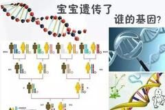 太准了！夫妻谁的基因决定了孩子智商和相貌？