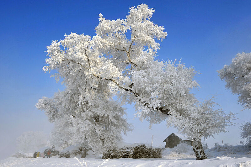 不玩雪也要去吉林，带着相机去拍雾凇，它才是吉林冬天该有的模样