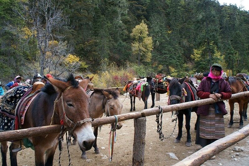 如何走才能感受到稻城亚丁最难的徒步路线，不露营都实现不了