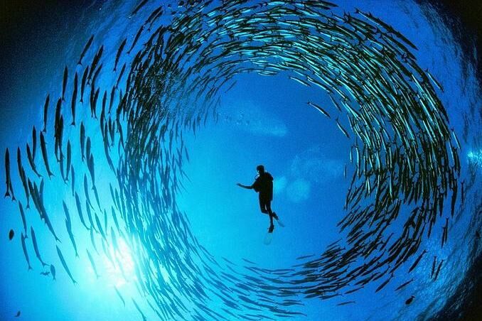 马来西亚仙本那旅游，教你一个不潜水也可以去诗巴丹的方法