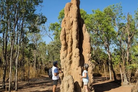 去澳大利亚北部旅游，肯定要去里奇菲尔德公园看白蚁&ldquo;墓碑&rdquo;啦