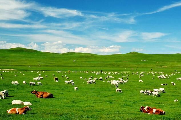 呼伦贝尔六天时间你会如何安排行程，放弃跟团我要自由行