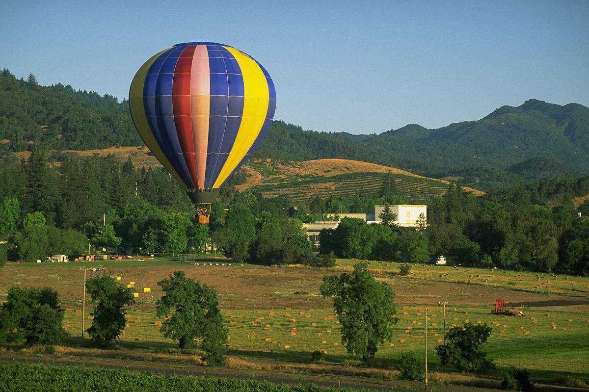 美国旅游别忘了去纳帕谷品酒，这里有400多家酒庄