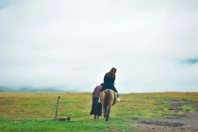 这个暑假我想带你去川西看雪山，草原，森林和石林