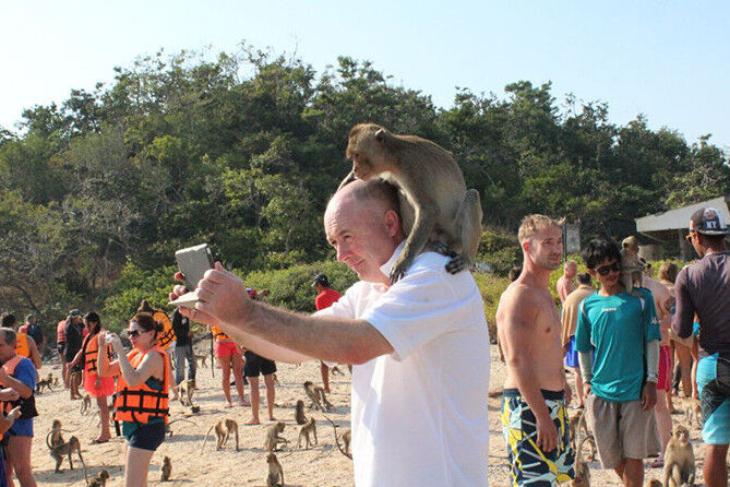 在芭提雅想要出海游玩，你有哪些海岛可以选择