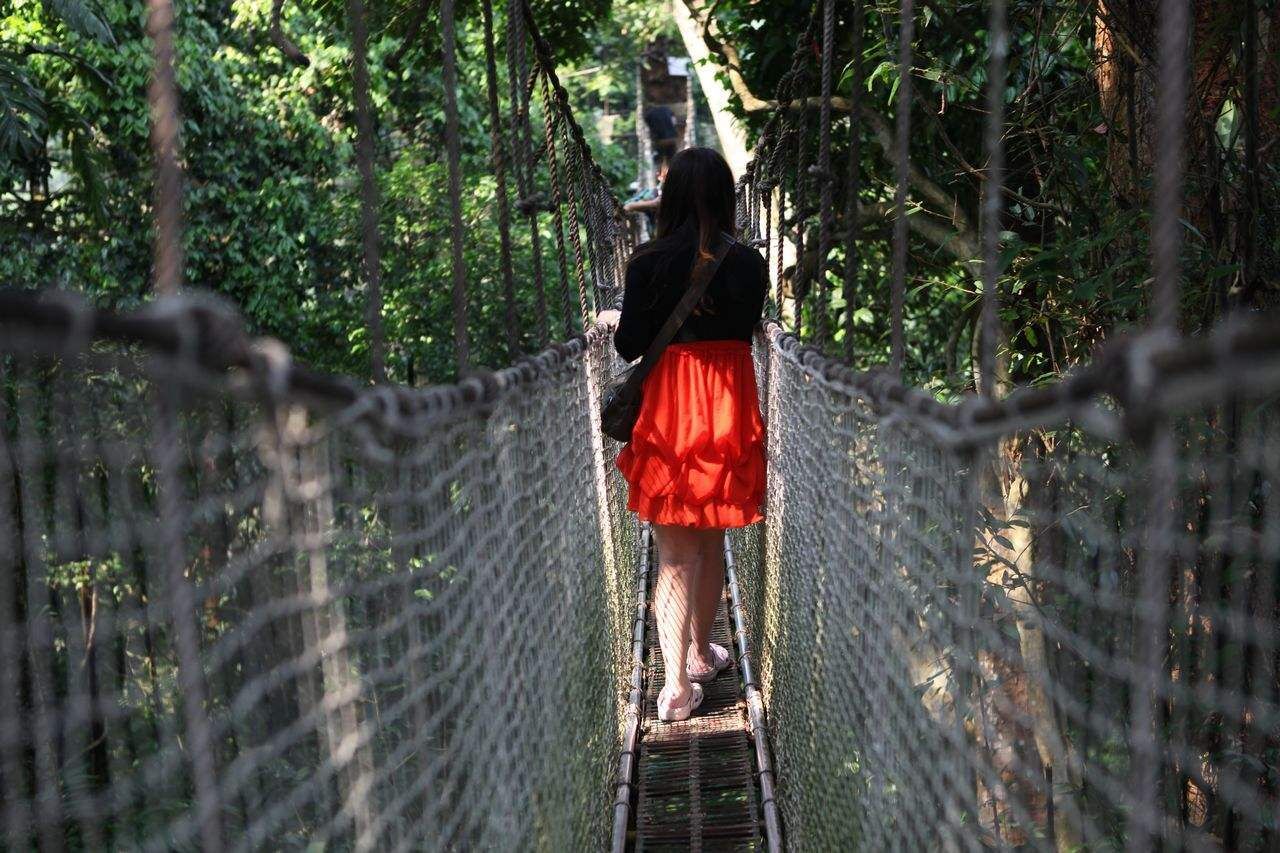 在云南西双版纳旅游，有哪些知名景点在等着你