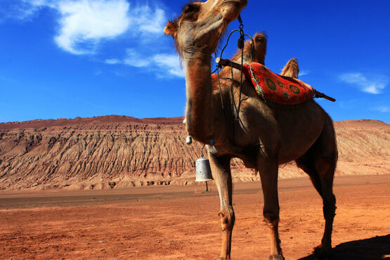毕业旅游想去新疆乌鲁木齐，那么新疆有哪些地方会吸引你呢？