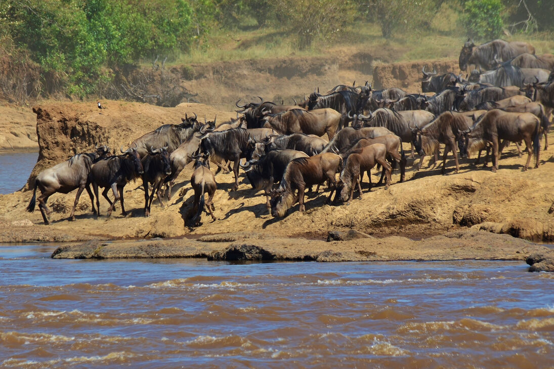 在肯尼亚除了看动物大迁徙，你还有别的玩法吗？