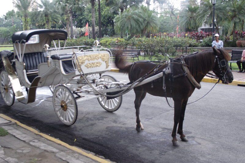 菲律宾马尼拉市内交通攻略，哪种交通工具是最适合游客的
