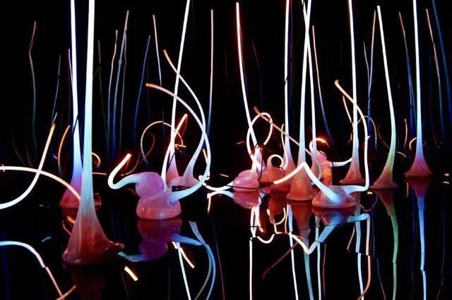 西雅图奇胡利玻璃艺术博物馆让我知道，玻璃还能这样玩