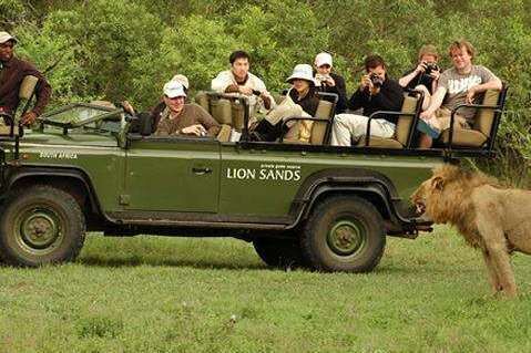 野性非洲的意思就是人与野兽零距离接触而不用做任何防护措施