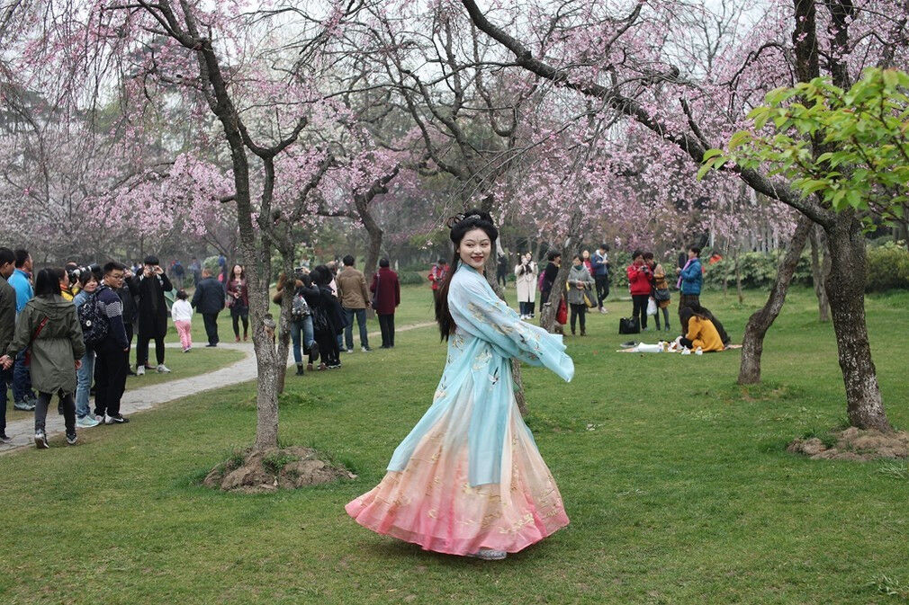 湖南省森林植物园在3月30日着汉服进园赏樱，门票可半价
