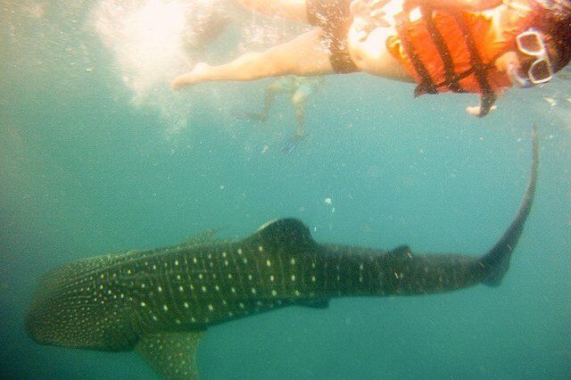 如何免签进入菲律宾旅游，在当地有哪些景点值得我们看