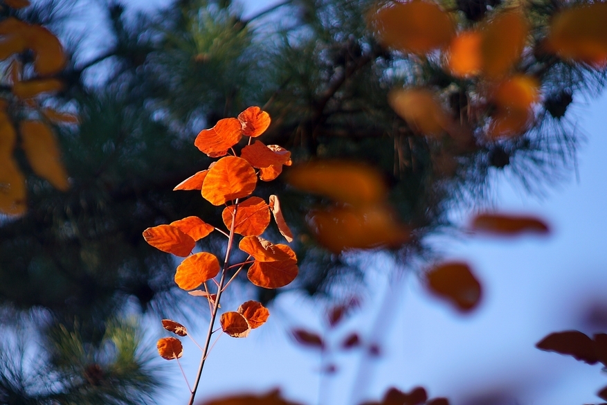 冬季天冷，拒绝这些损耗阳气之事，3个小妙招，舒服过冬天