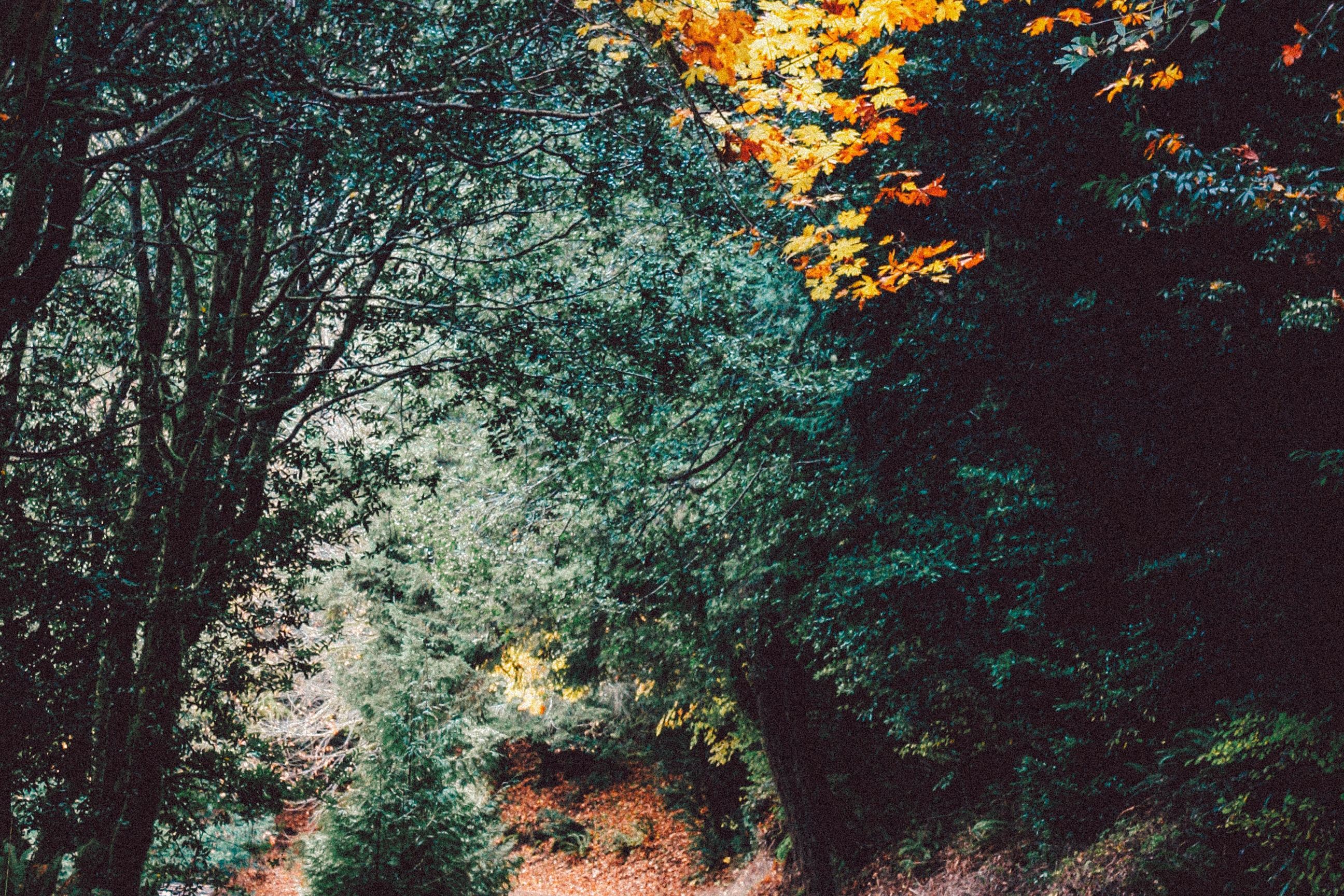 秋季常见疾病&mdash;&mdash;中老年人慎防急性肠胃炎