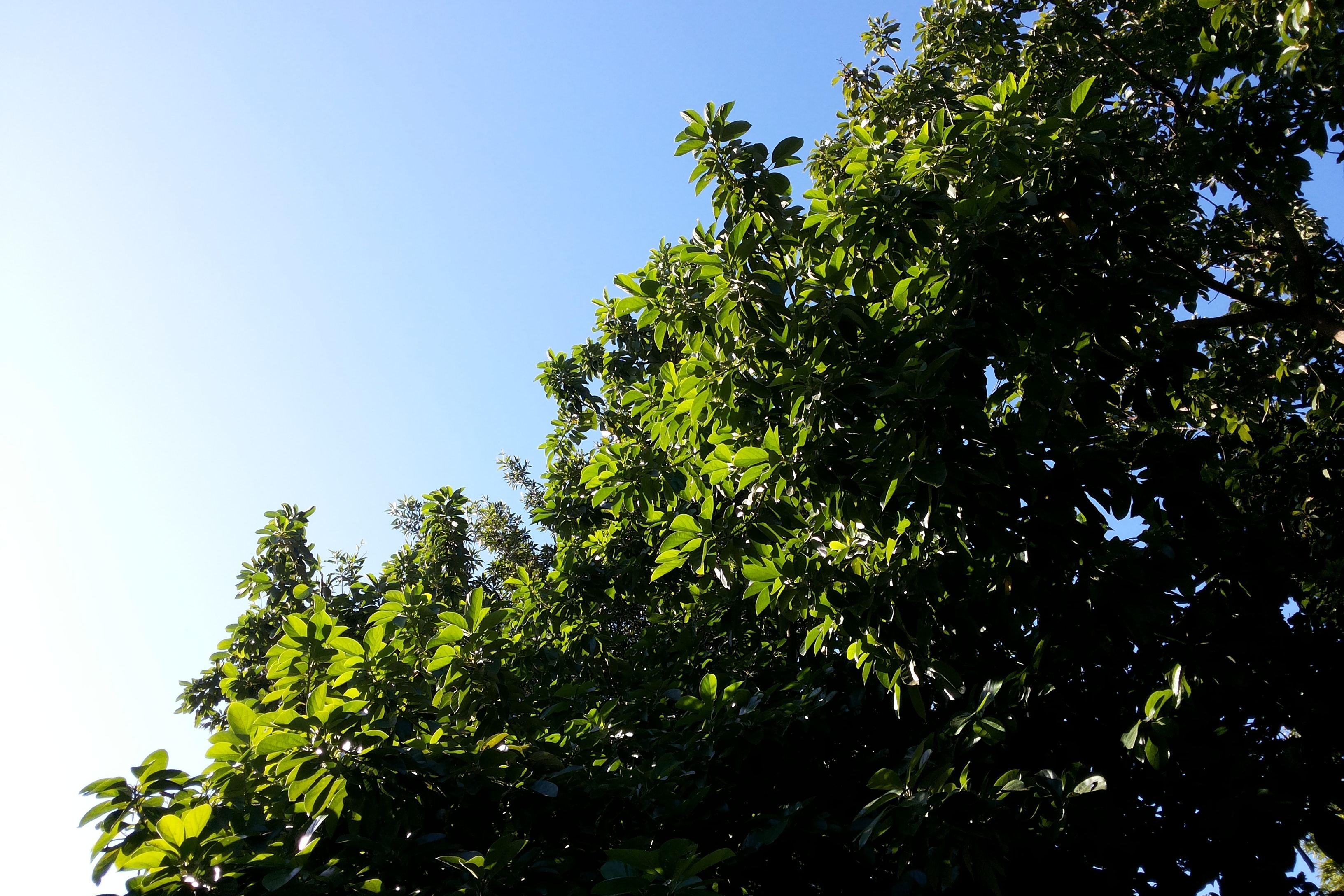 这几类咳嗽要注意，是肺癌的前兆