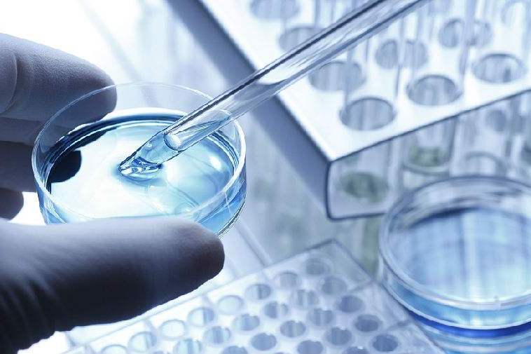 肺癌免疫治疗是什么？