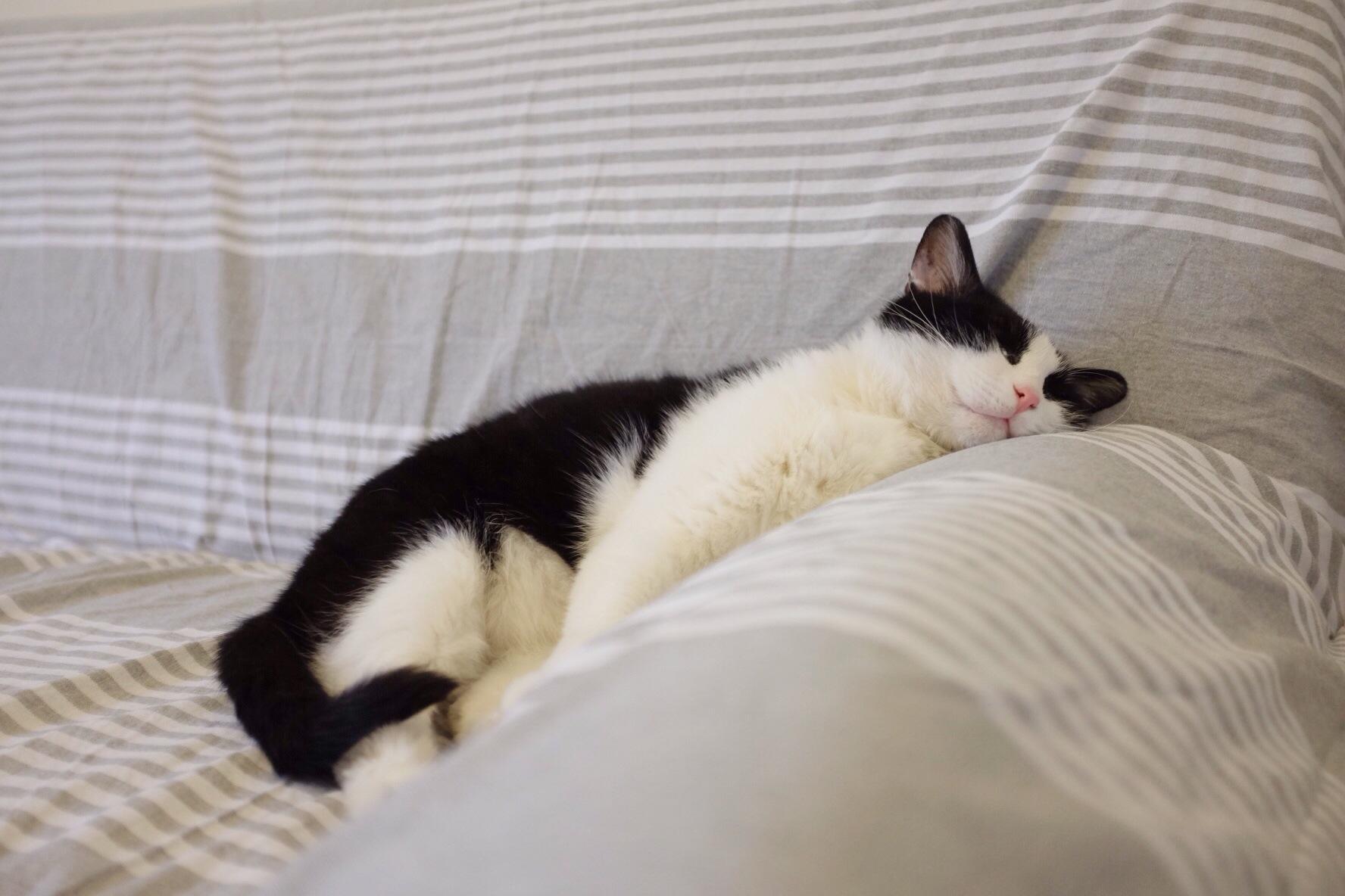 夏季昏昏欲睡，如何远离困乏？