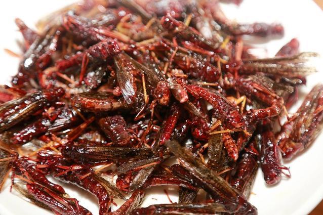 俄罗斯人快愁哭了：你们就不能去中国吗？为什么偏要来我们国家