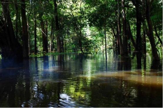 世界上唯一的&ldquo;女人国&rdquo;，全族没有一个男人，繁衍方式令人震惊