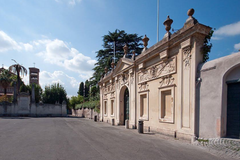 世界上混得&ldquo;最惨&rdquo;的国家，没有自己的领土，仅有的住所也是租的