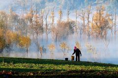 深秋，愿人人都是好“色”之徒