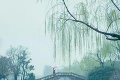 比成都安逸，比苏杭秀美，它曾是世界No.1，倦了就去小住几天