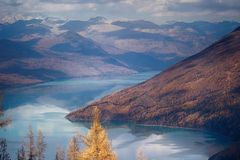 秋日的喀纳斯，是什么神仙颜值？