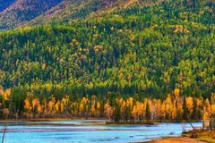 新疆第一站，非喀纳斯不可！