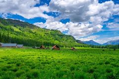 无草原，不夏天！！！