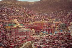 西藏是一种瘾，不去治不好，去了戒不掉