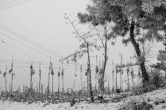 良日启程，纵言不舍，终有别离