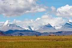 我去了趟西藏之后，病入膏肓