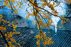 被花包围的冷门小城，竟藏了最美春天，未来两个月美哭，却少游人！